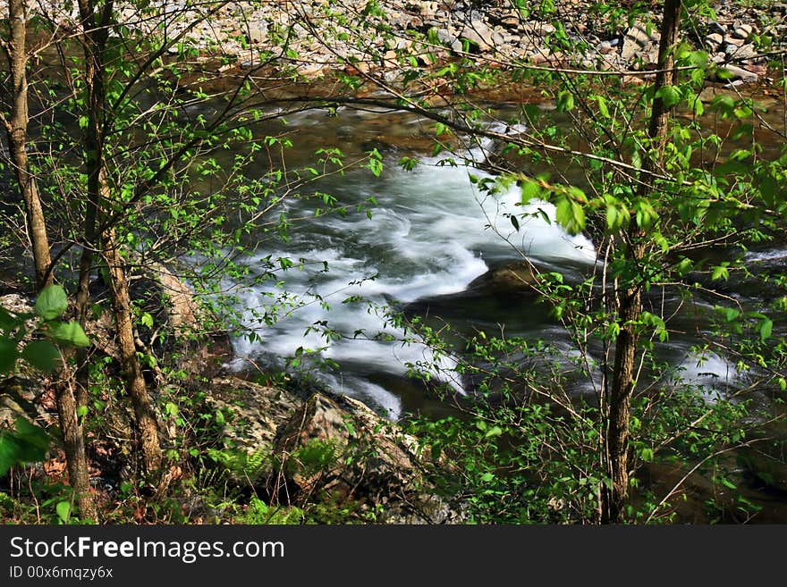 Water streams and cascades in the Great Smoky Mountain National Park