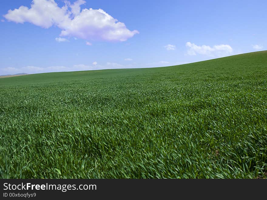 Green fields, the blue sky and white clouds