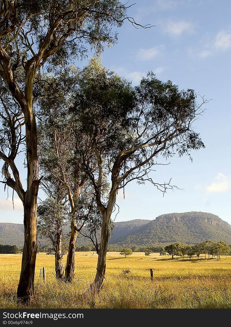 This is a shot of the valley plains in heartly valley just west of the blue mountains NSW australia. This is a shot of the valley plains in heartly valley just west of the blue mountains NSW australia.