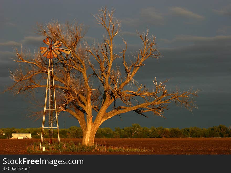 Abandoned Windmill