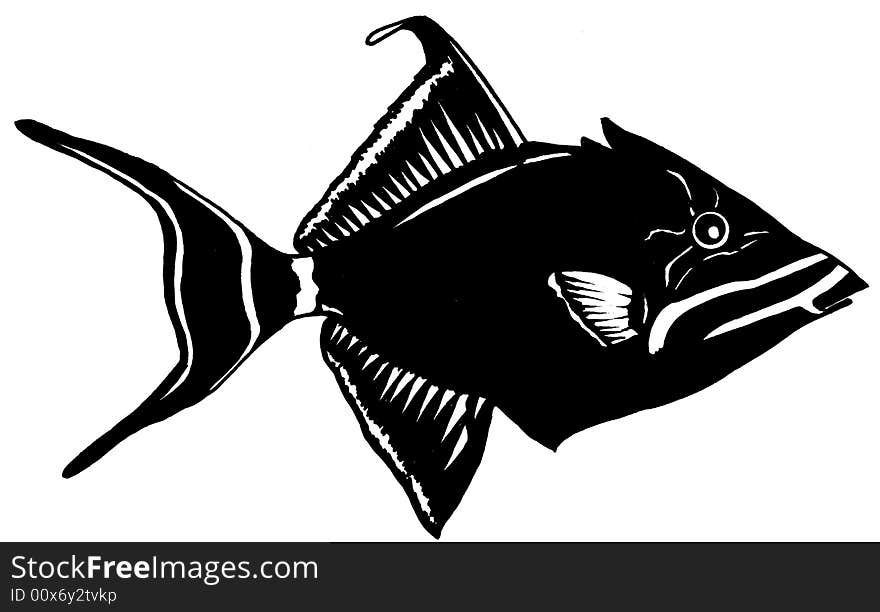 Realistic illustration of a triggerfish. Realistic illustration of a triggerfish.