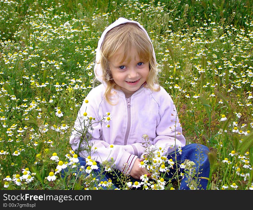 Little girl and camomiles.