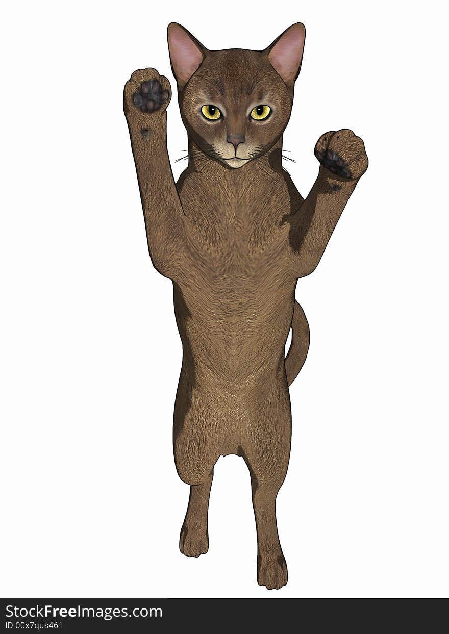 Cartoon Cat Shadow Boxing.  Computer generated image, 3 dimensional model