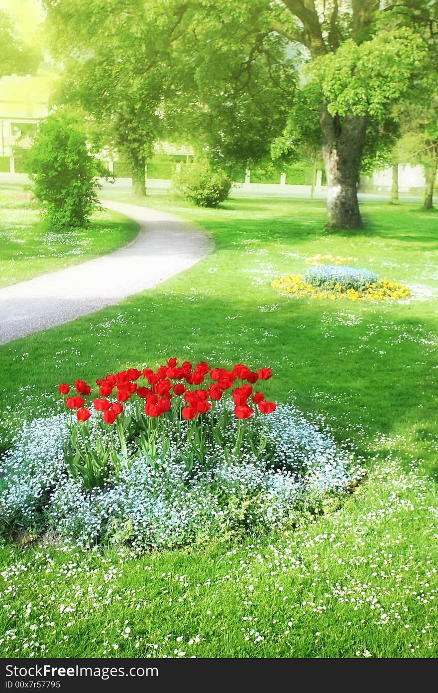 Spring sunny alley in apark with tender flower-bed. Spring sunny alley in apark with tender flower-bed