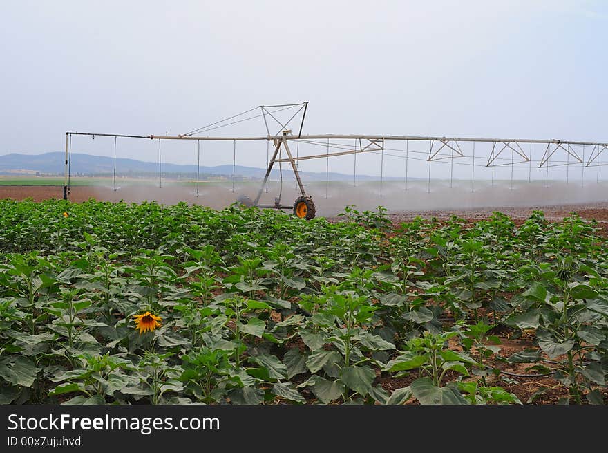 Irrigation system