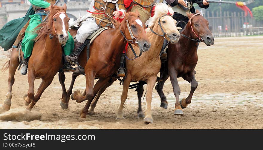 The racing horses