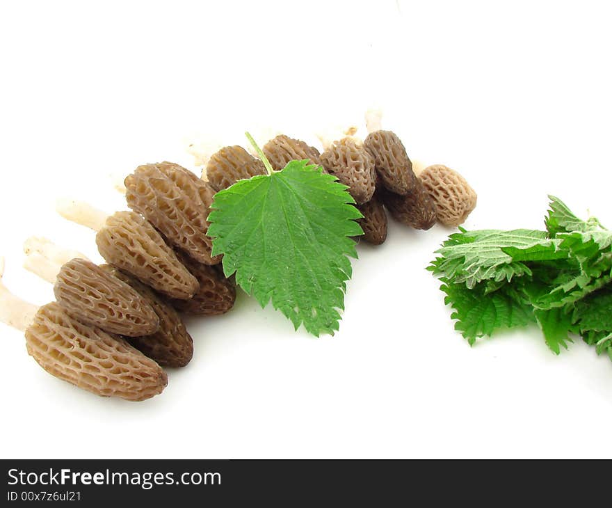 Morels and nettles