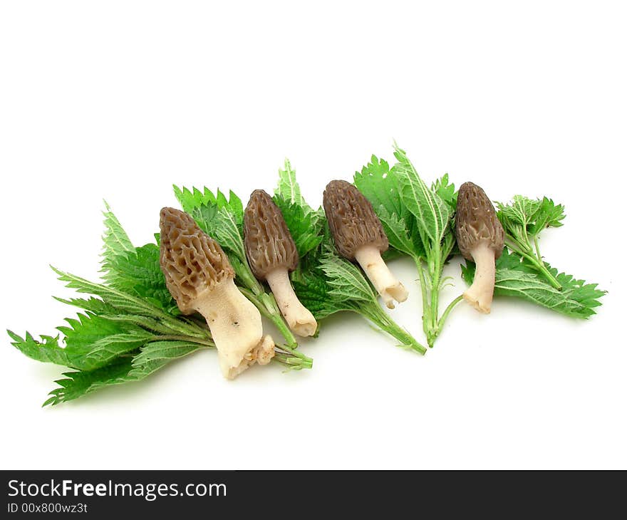 Morels And Nettles