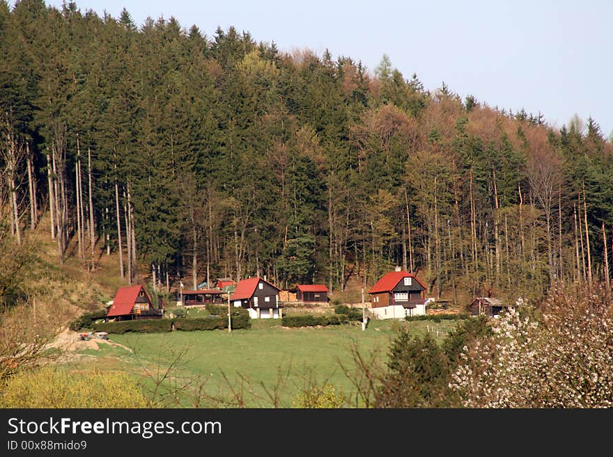 Cottages below through the wood. Cottages below through the wood