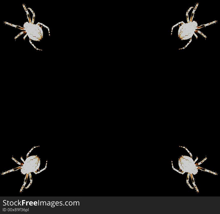 Photo with the image of four spiders on corners.