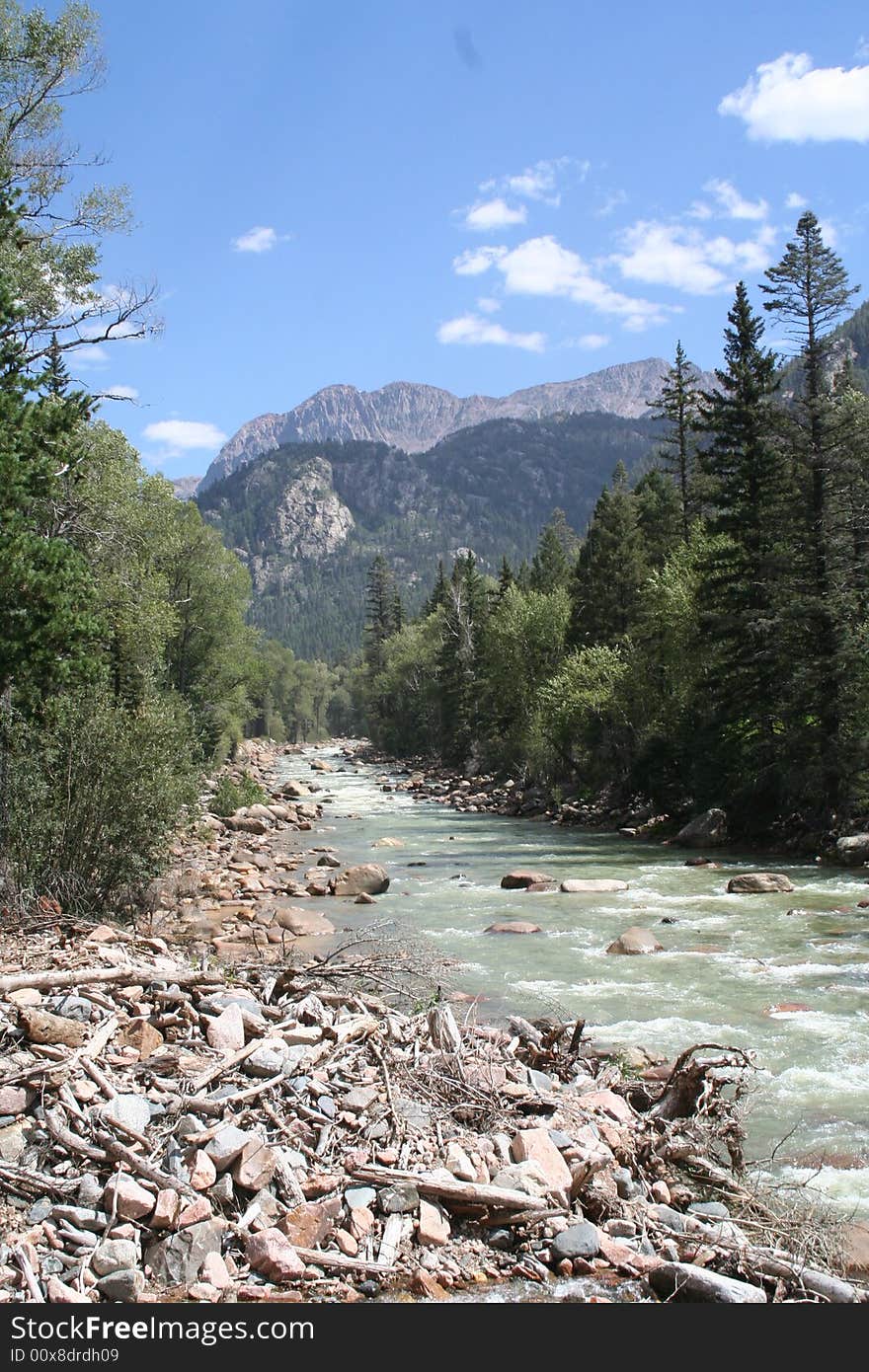 Rushing Stream In Colorado