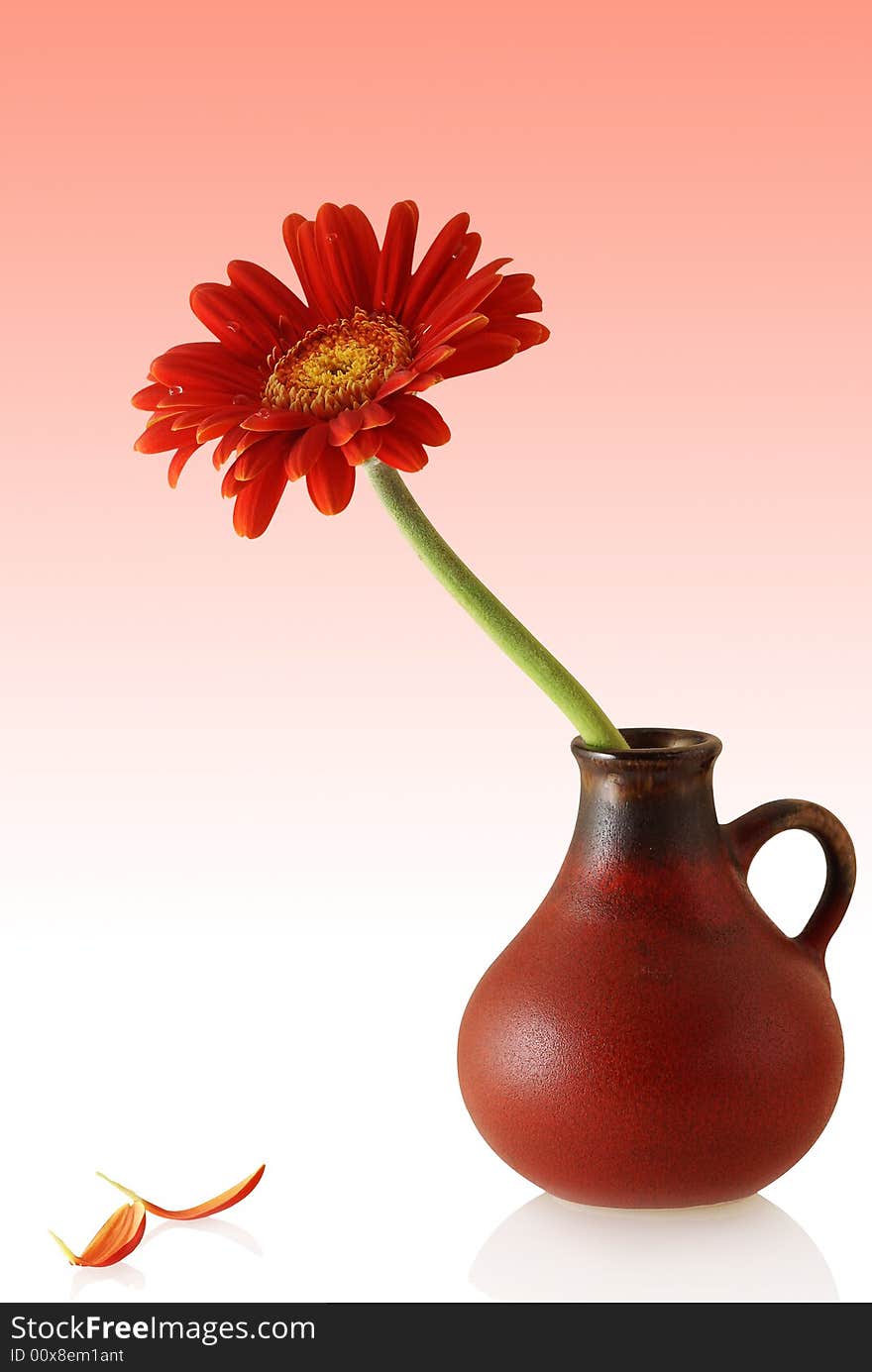 Gerber In Red Vase With Couple Single Petals