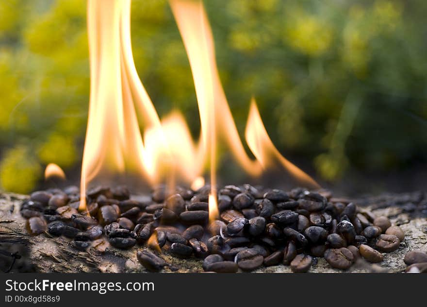 Burning coffee beans close up