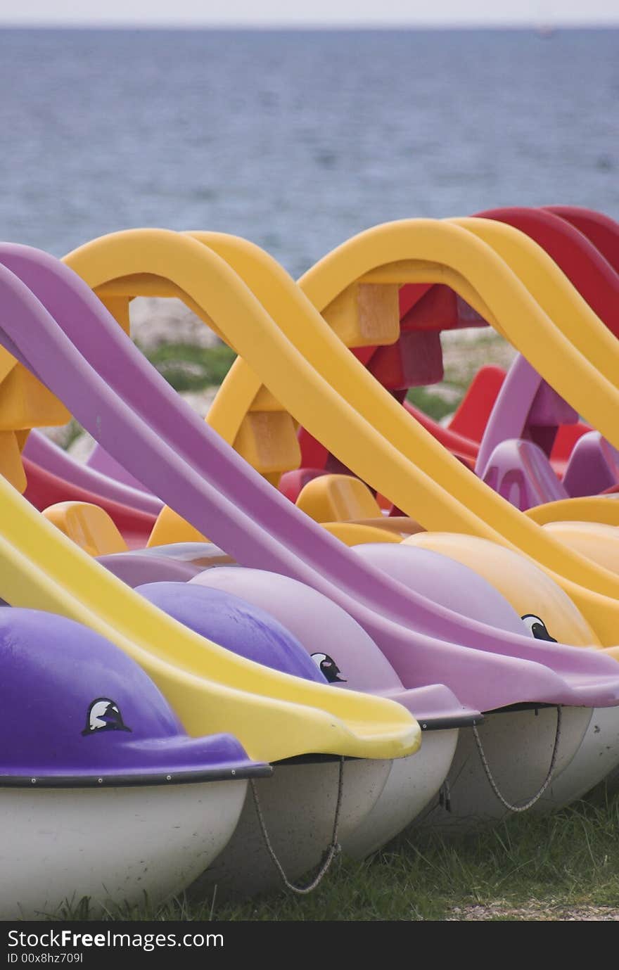 Dolphin-shaped water bicycles