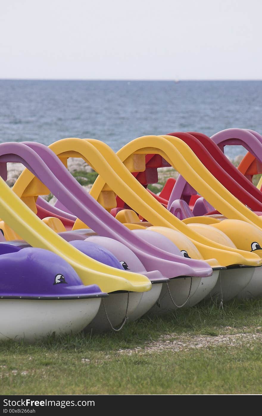 Dolphin-shaped Water Bicycles