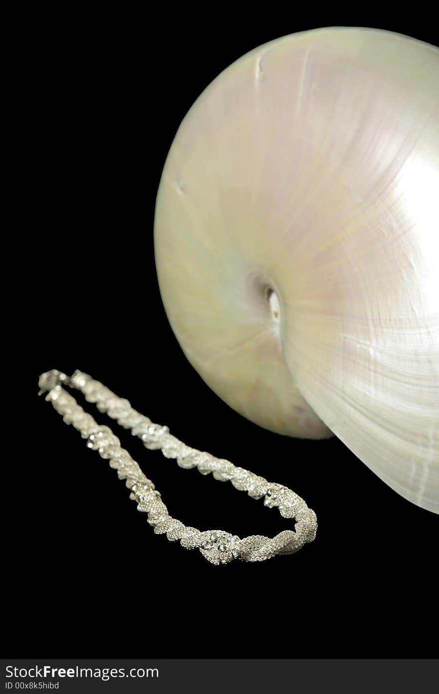 Pretty necklace made from sea shells.