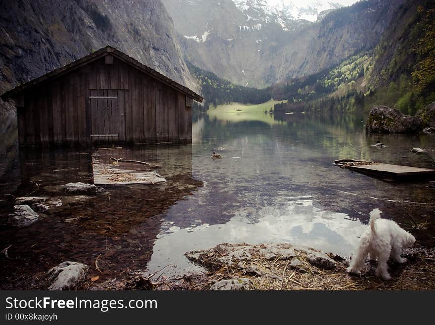 Taken at koenigssee, Bavaria, Germany. my dog is drinking.