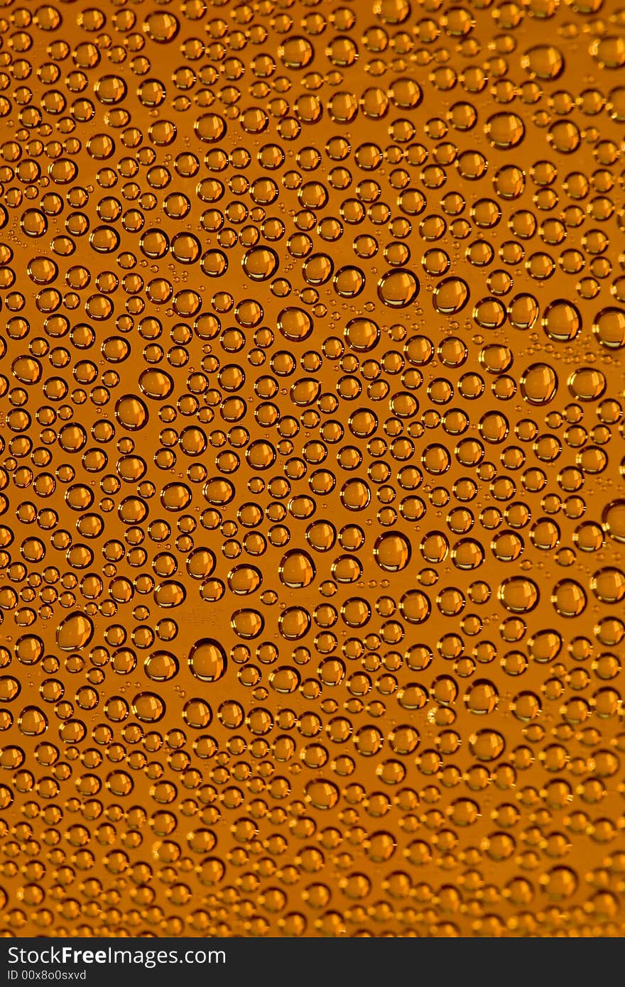 Water drops in orange