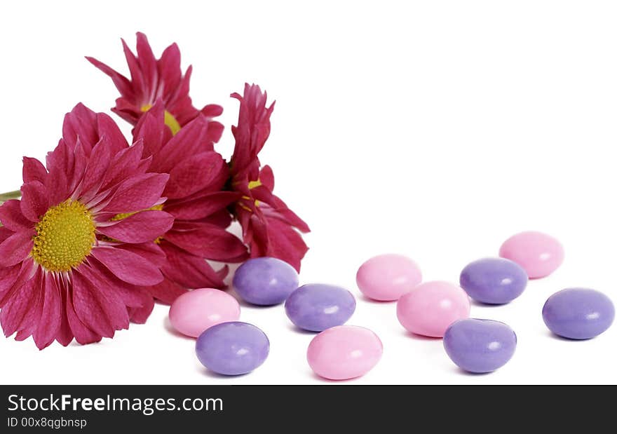 Pink daisy flowers with colorful candy