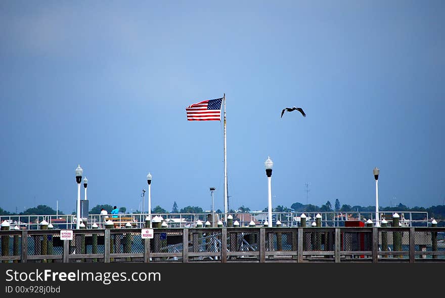 Picture of an american flag with a pelican flying by