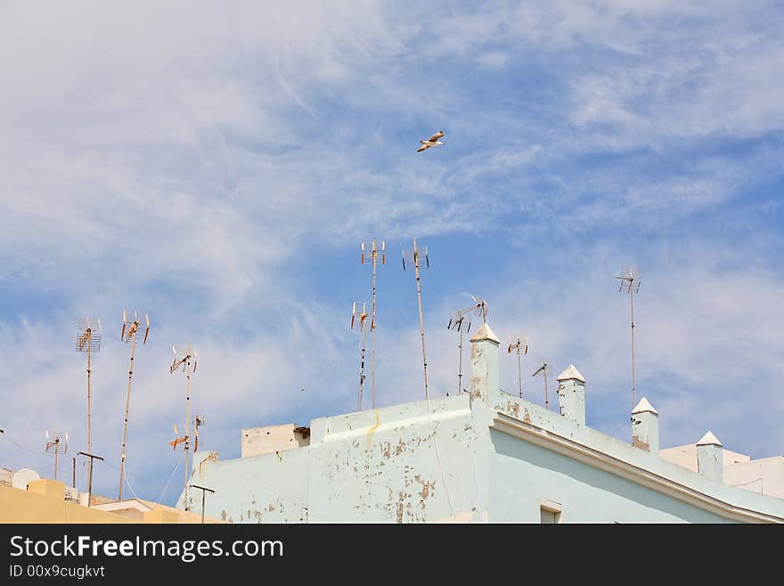 Antennas mounted on a roof and seagull in the blue sky