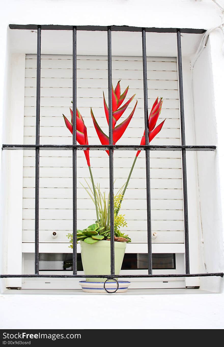 Red flowers in window behind the metal bars