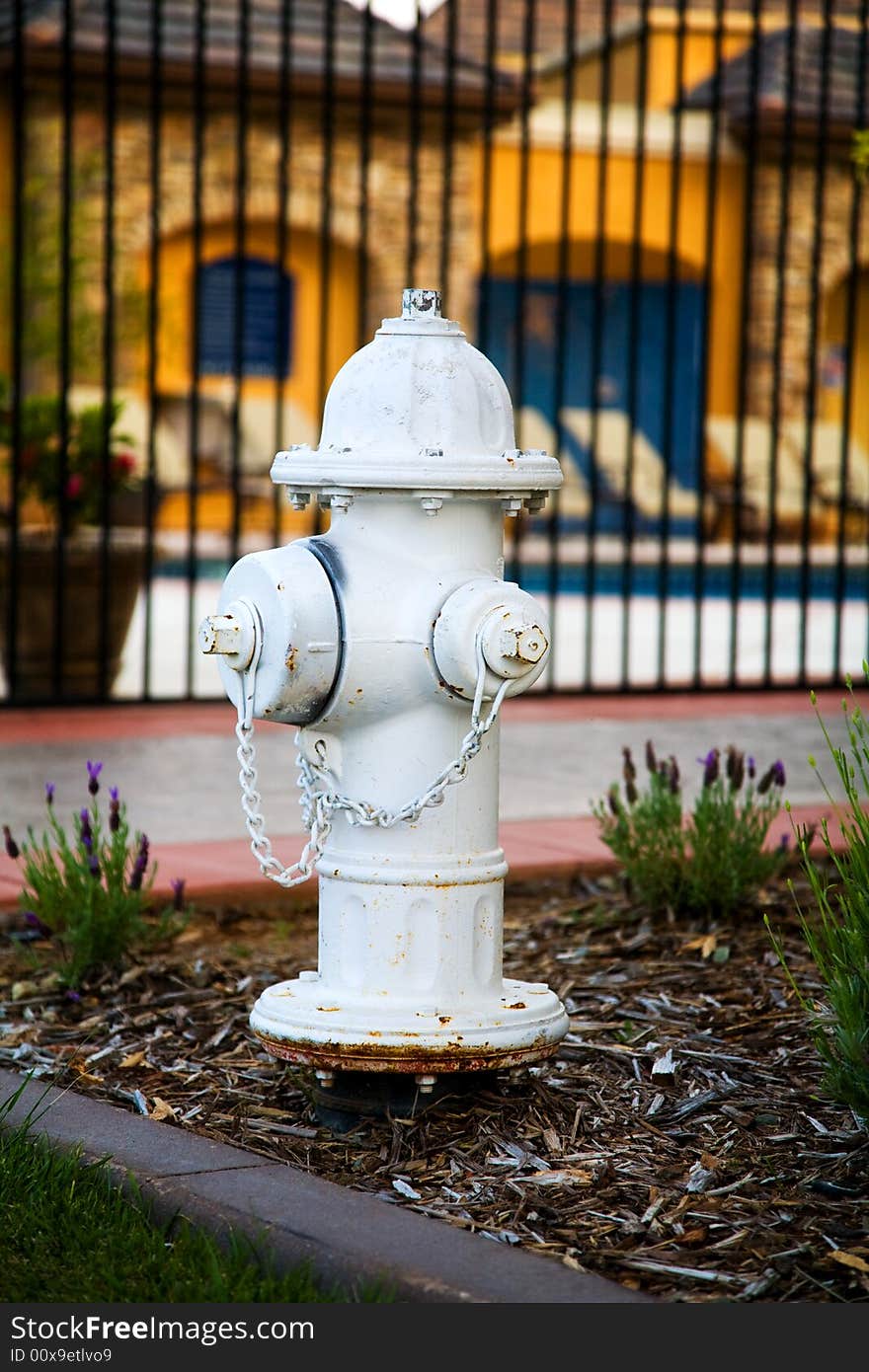 White fire hydrant in a garden