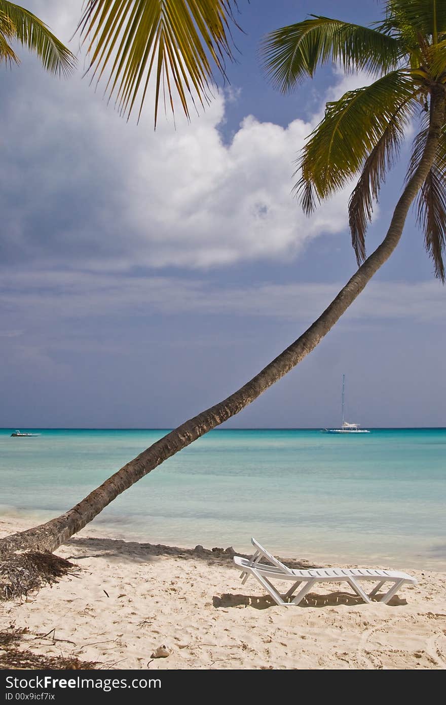 Beach at the Saona island, Dominican republic. Beach at the Saona island, Dominican republic