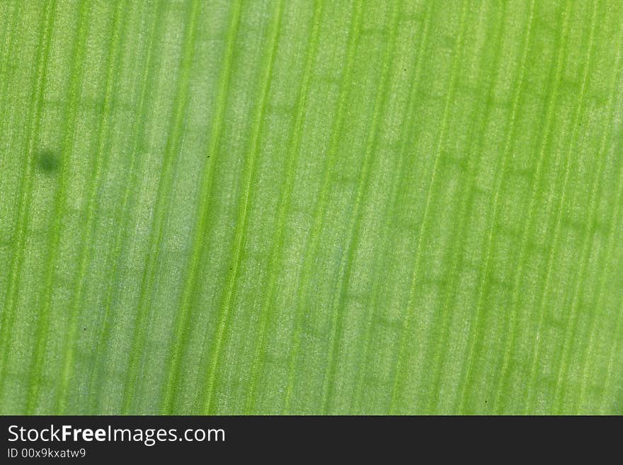 Leaf structure