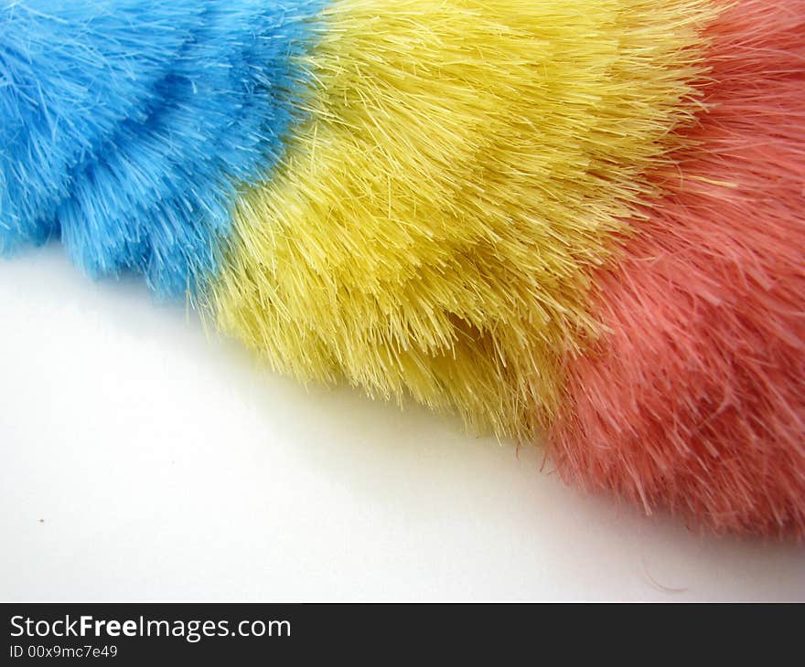 Color feathers on a white background. Color feathers on a white background