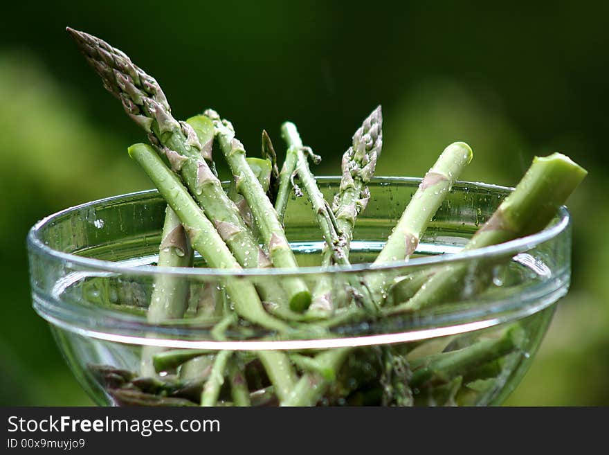 Asparagus bud in rain spring time. Asparagus bud in rain spring time