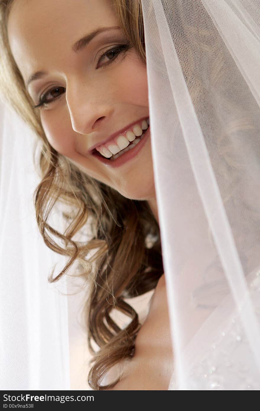 A bride with a veil on her head. A bride with a veil on her head