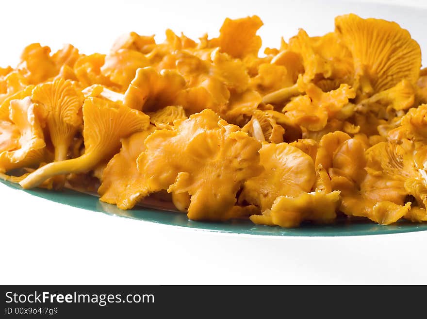 Chanterelle Mushrooms