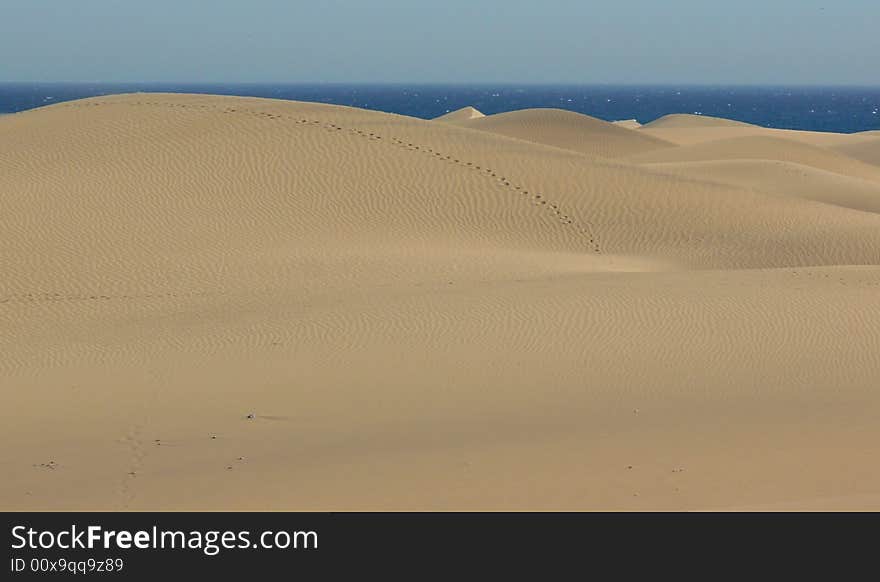 Going over a desert sand,through the dunes.View of  Canaries dunes in the Gran Canaria's island