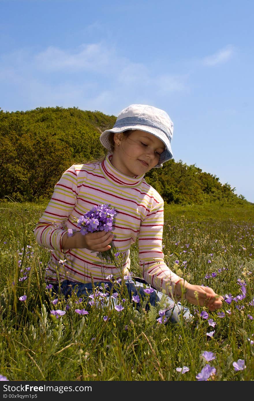 Little girl collect blue flowers. Little girl collect blue flowers