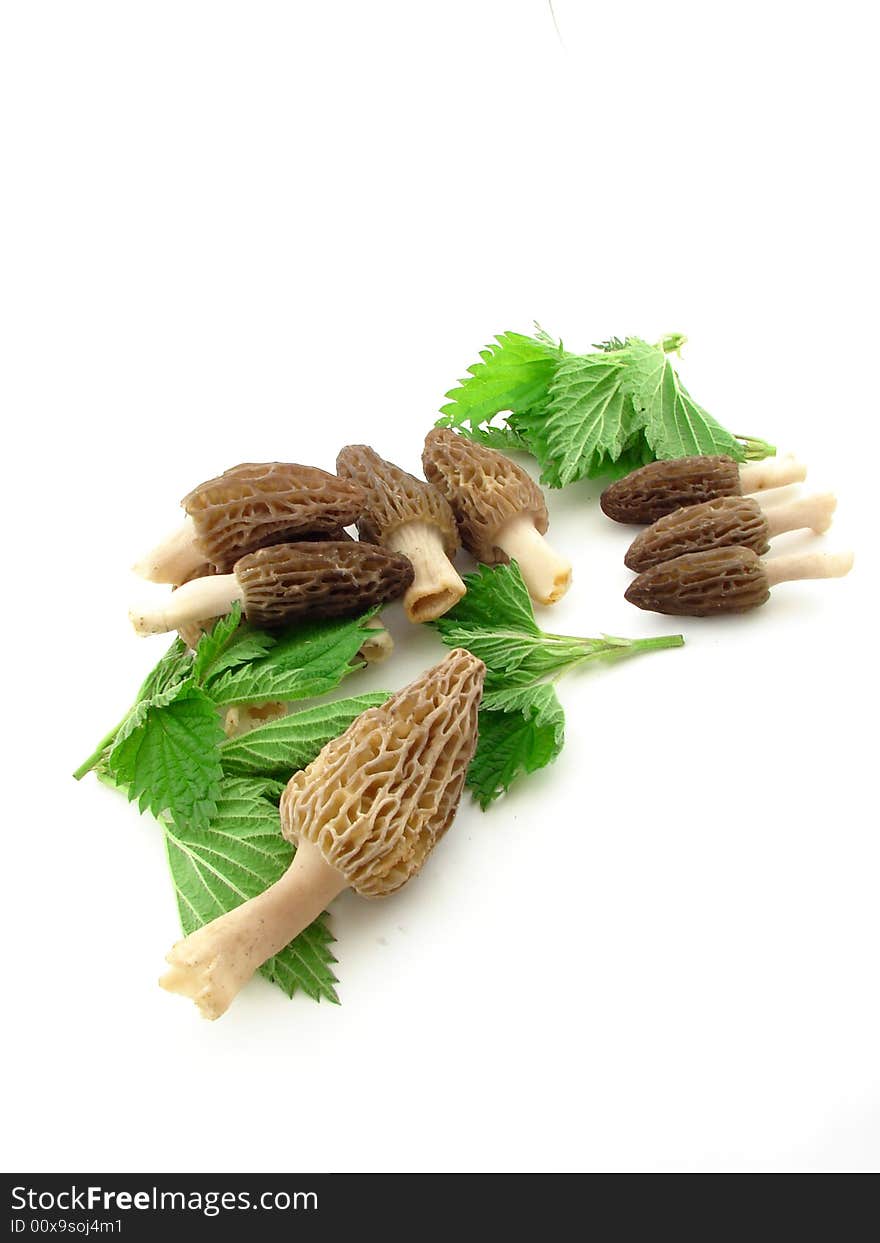 Morel mushroom and nettles isolated over white. Morel mushroom and nettles isolated over white.