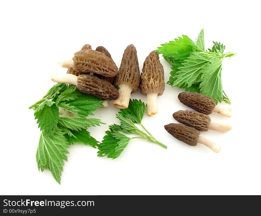 Morels And Nettles