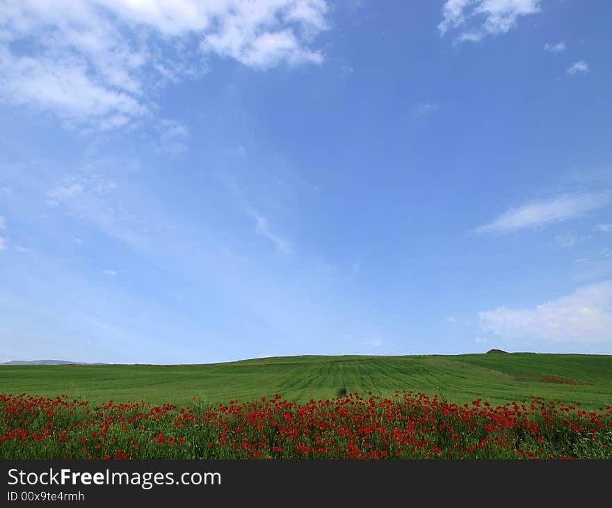 Green Field