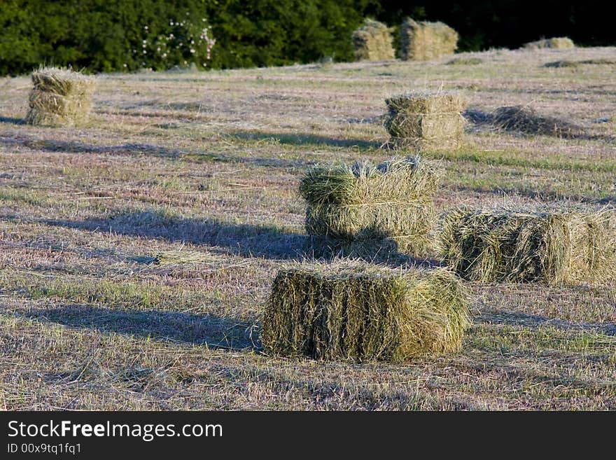 Field of packed hay agriculture, countryside, hay, spring, village, field works, Europe, mowing