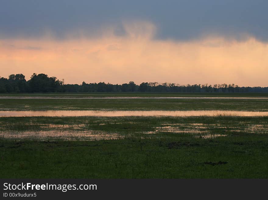 Meadow and pools of water