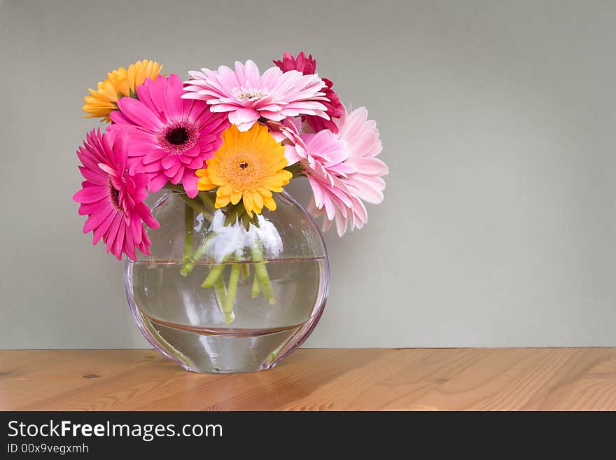 Gerber Daisies In A Vase