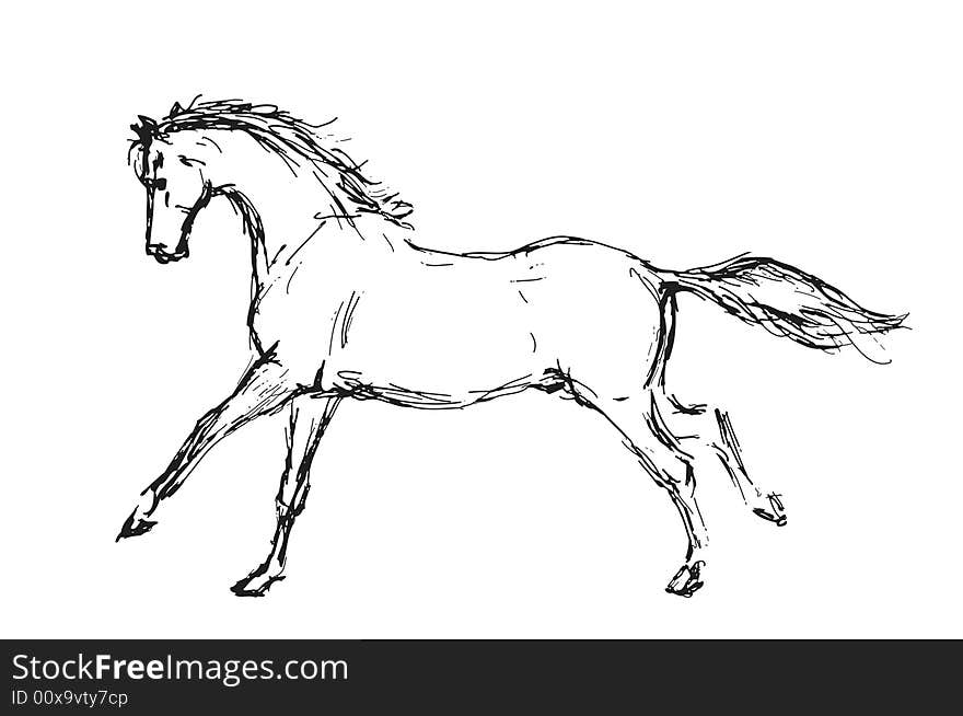 A hand-drawn sketch of a running horse. A hand-drawn sketch of a running horse