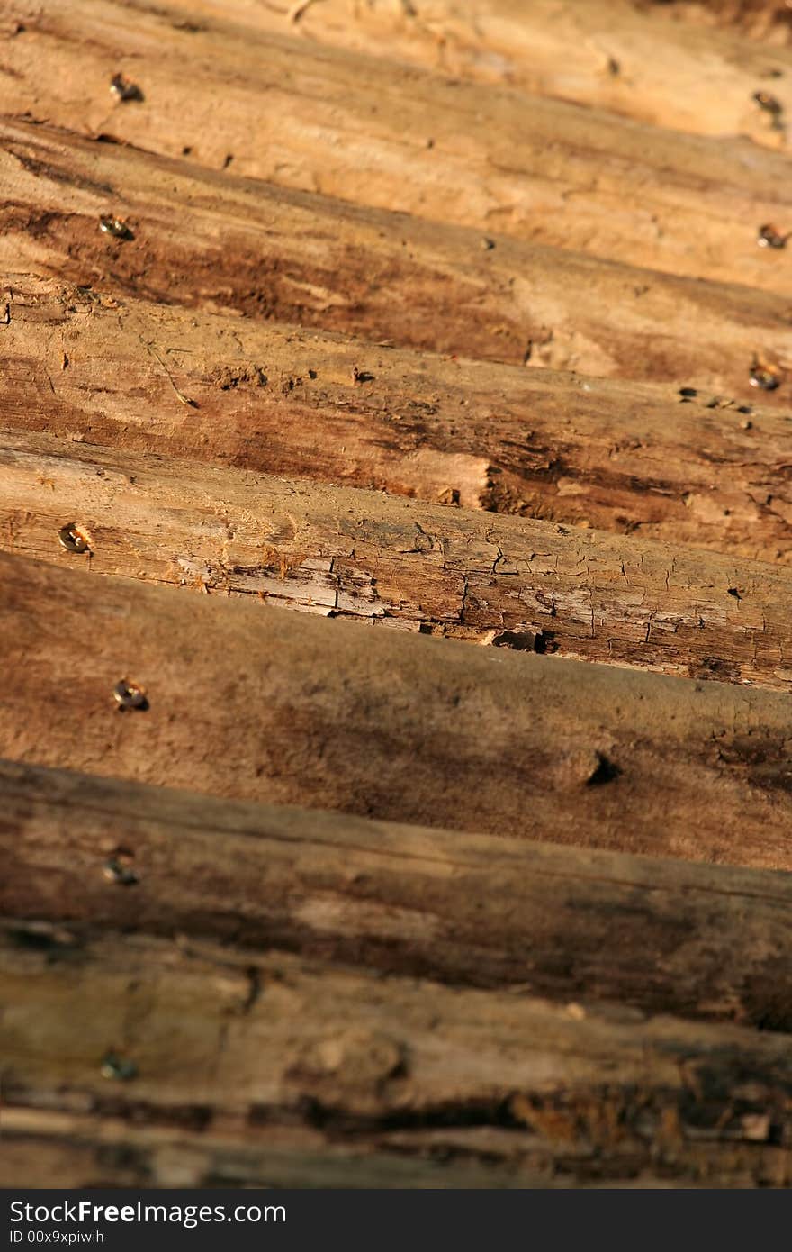 Abstract wooden brown background texture. Abstract wooden brown background texture