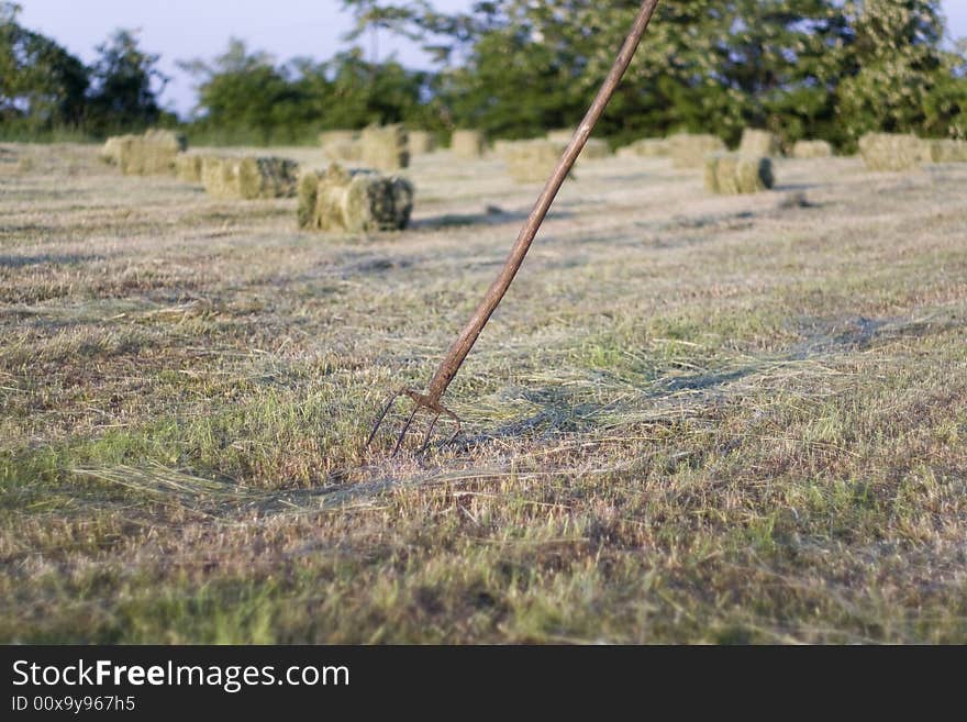 Field of packed hay agriculture, countryside, hay, spring, village, field works, Europe, mowing, hayfork