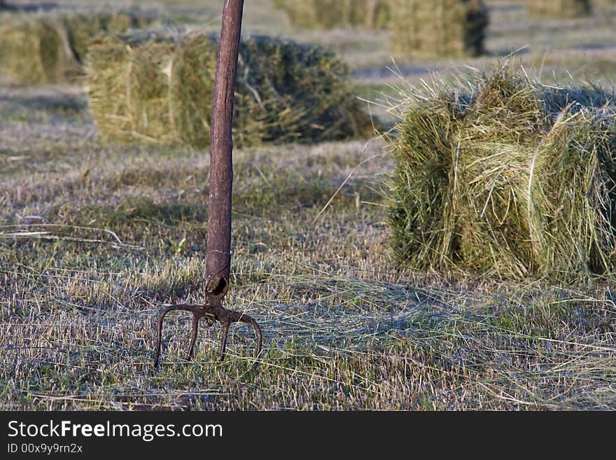 Field of packed hay, agriculture, countryside, hay, spring, village, field works, Europe, mowing, hayfork