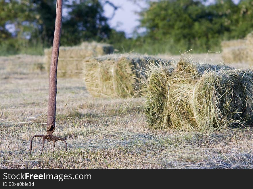 Field of packed hay agriculture, countryside, hay, spring, village, field works, Europe, mowing, hayfork