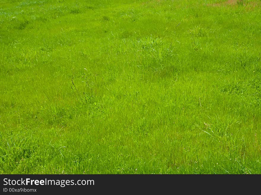 Grass II