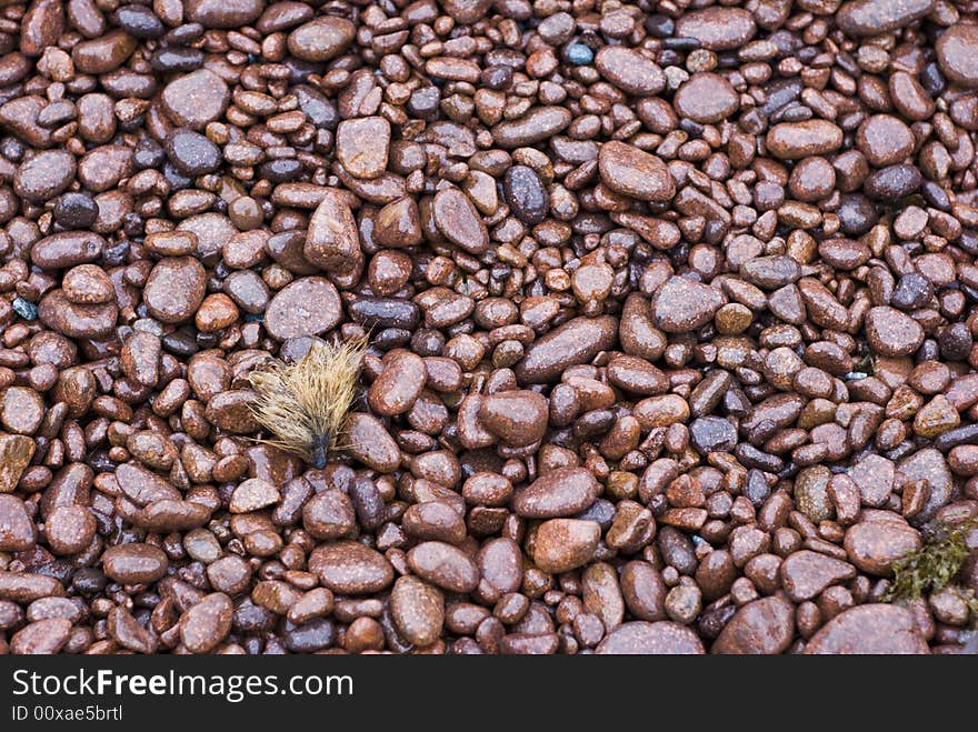 Red Stones Of Provence Coast