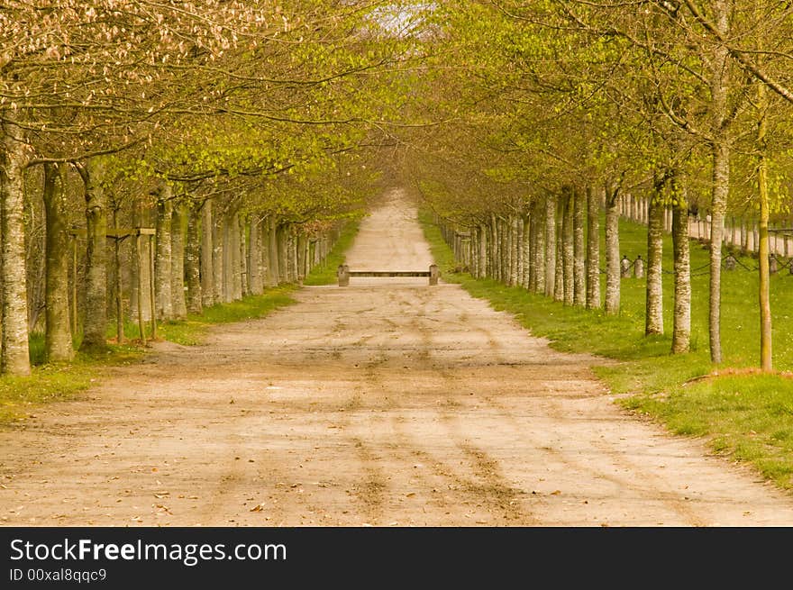 Spring in the tree alley in the gardens of Versailles