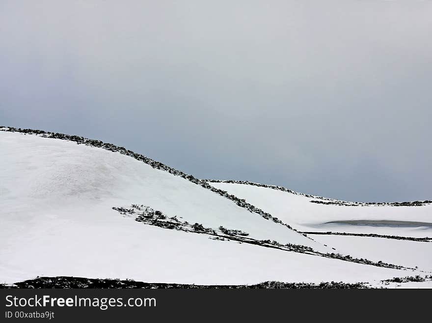 Snowy field with a gray sky in the background